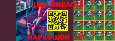 прущие грибы Канаш