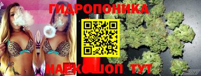 прущие грибы Канаш