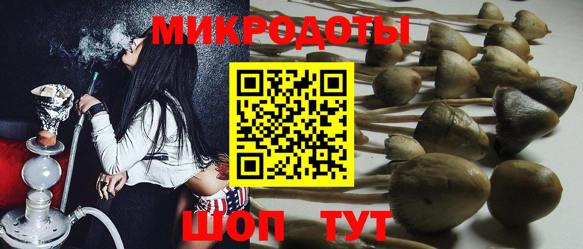 где можно купить наркотик  Псилоцибиновые грибы GOLDEN TEACHER  Вход с VPN  Калуга 